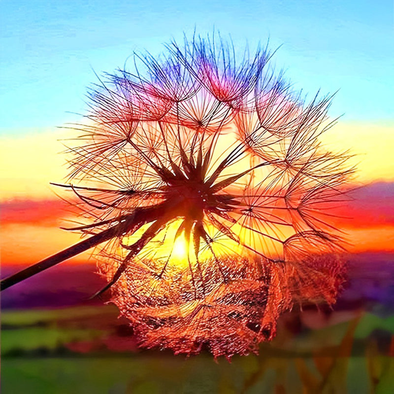 Pusteblume Sonnenuntergang Diamond Painting