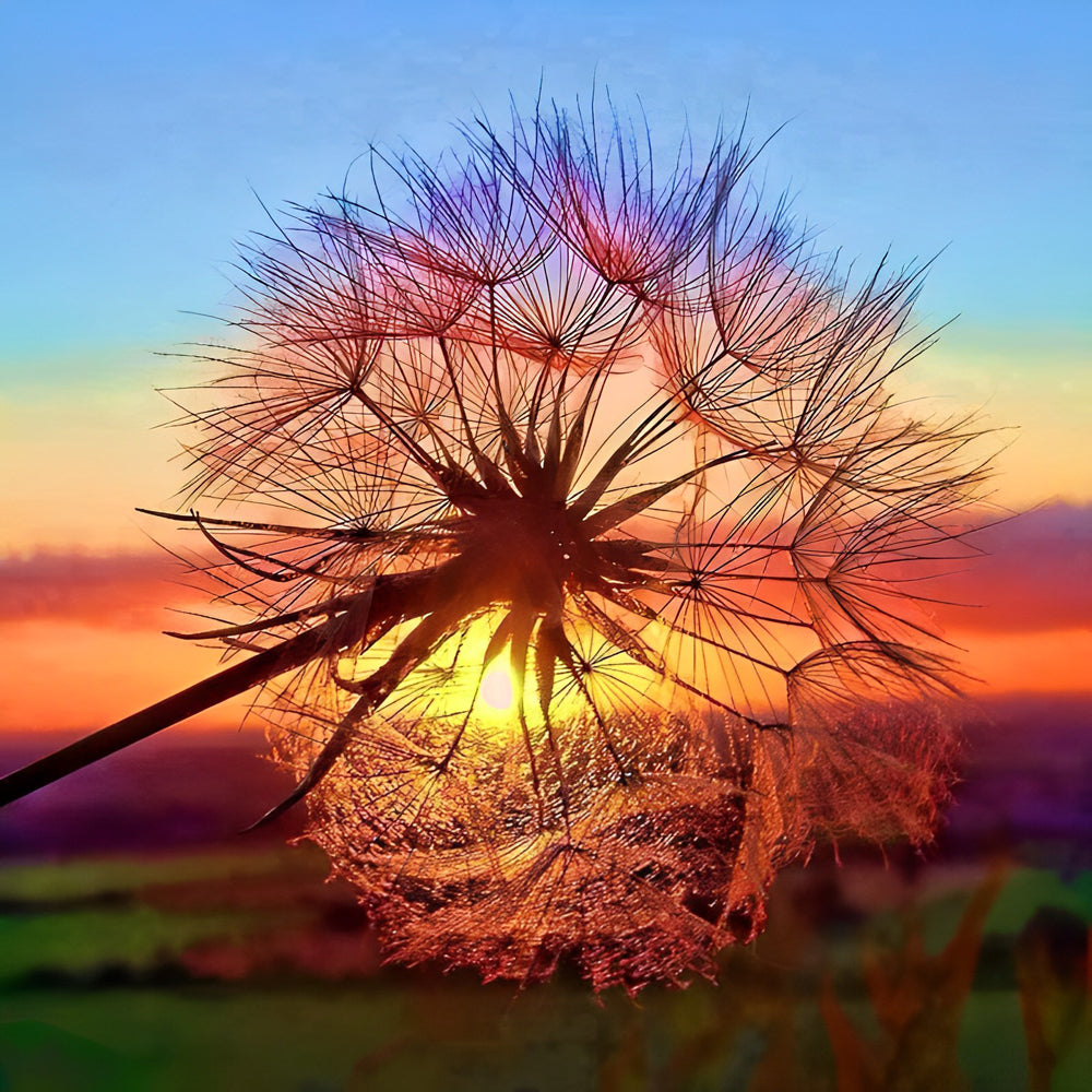 Pusteblume Sonnenuntergang Diamond Painting