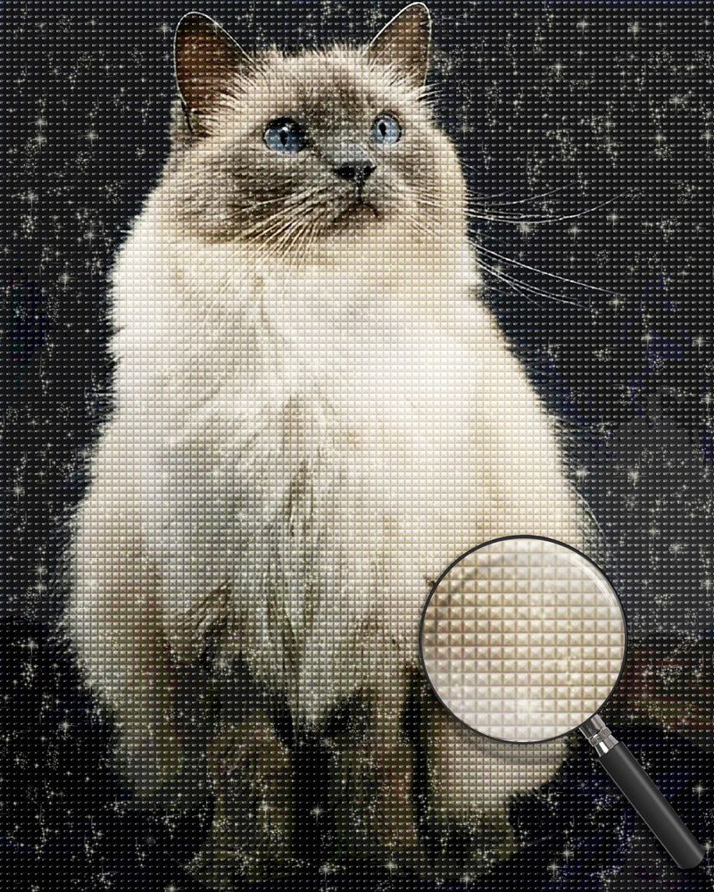 Ragdoll-Katze Diamond Painting