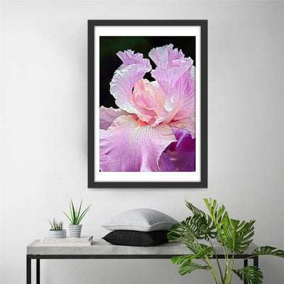 Rosa Iris Diamond Painting