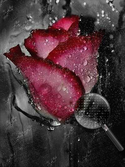 Rose mit Tau im Dunkeln Diamond Painting