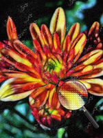 Rote Blumen Diamond Painting