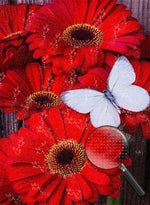 Rote Blumen und weißer Schmetterling Diamond Painting