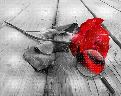 Rote Rose auf dem Boden Diamond Painting