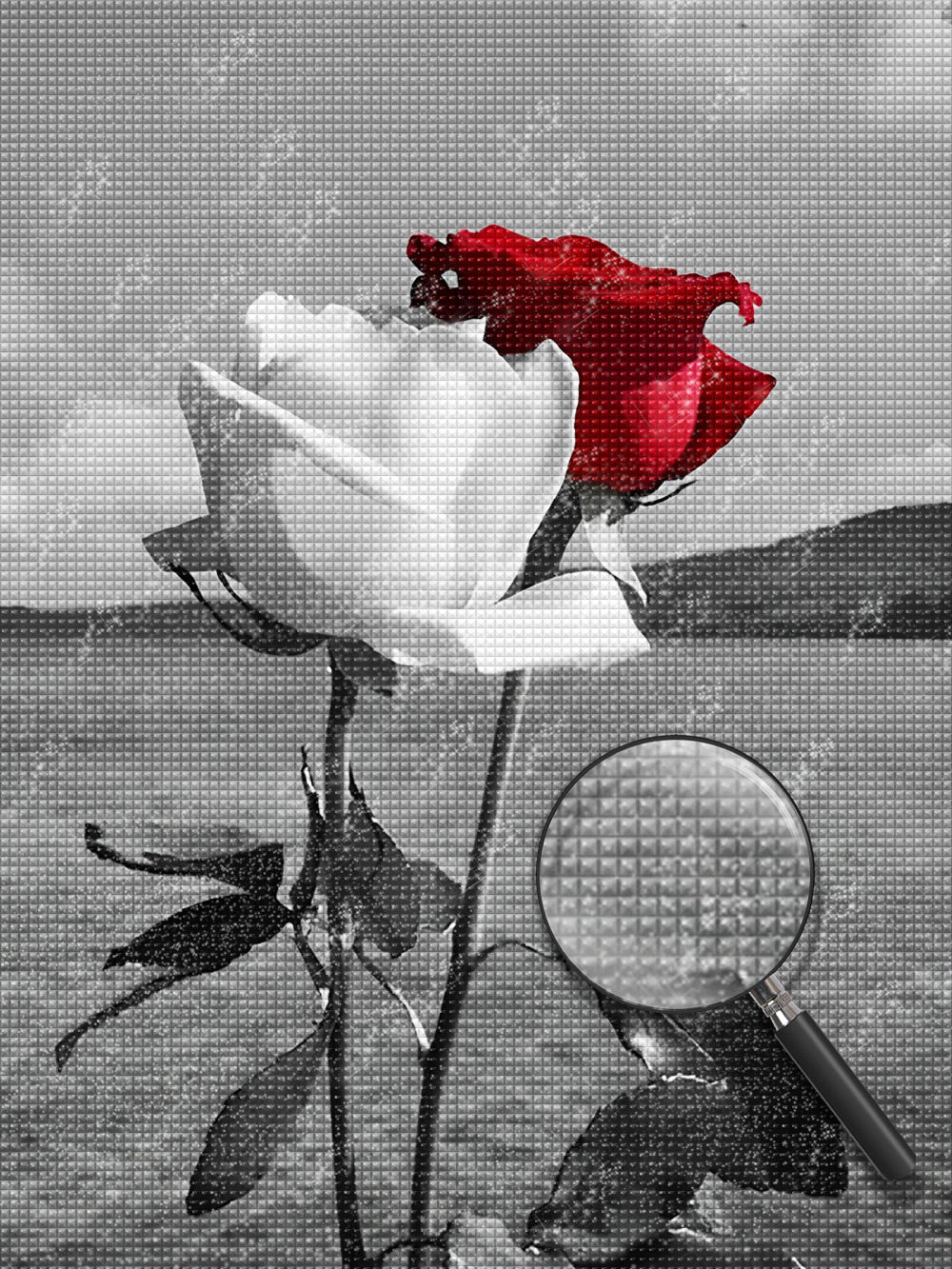 Rote Rose und weiße Rose in der Wildnis Diamond Painting