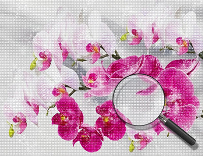 Rote und rosa Orchideen Diamond Painting