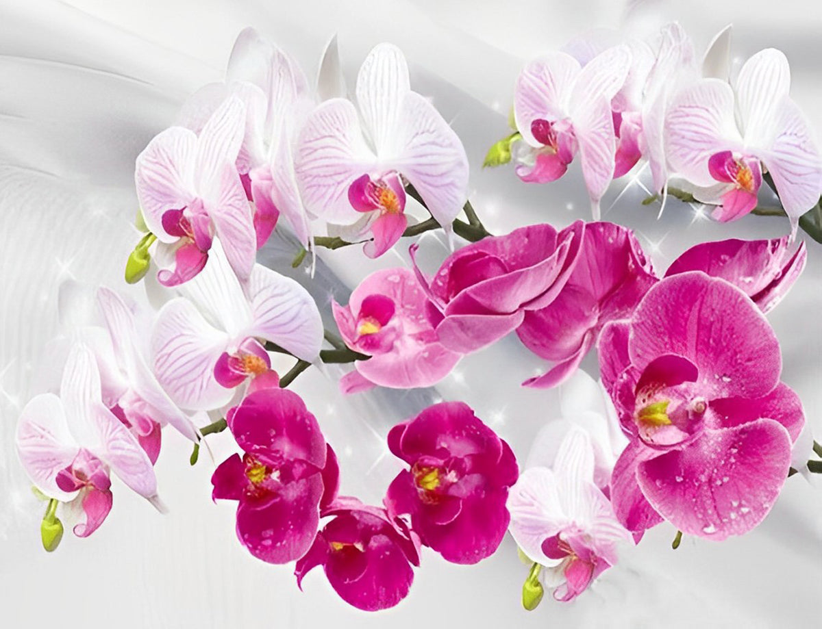 Rote und rosa Orchideen Diamond Painting