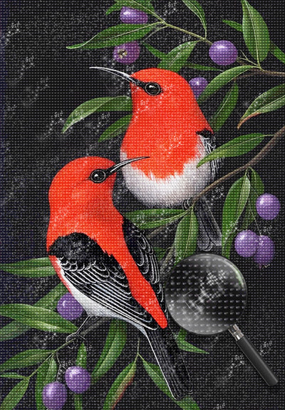 Rote Vögel im Dunkeln Diamond Painting