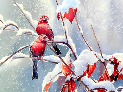 Rote Vögel im Schnee Diamond Painting