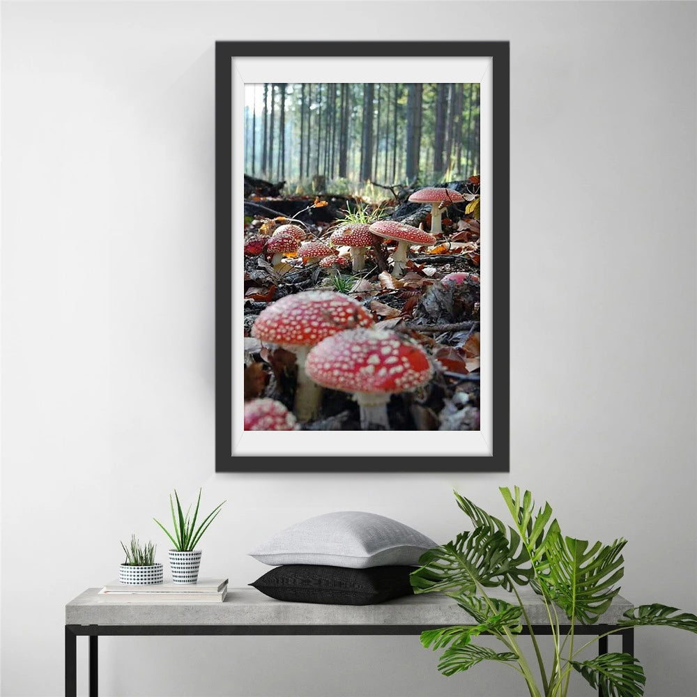 Roter Pilz im Wald Diamond Painting