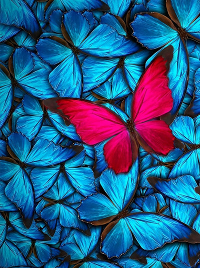 Roter Schmetterling und blaue Schmetterlinge Diamond Painting