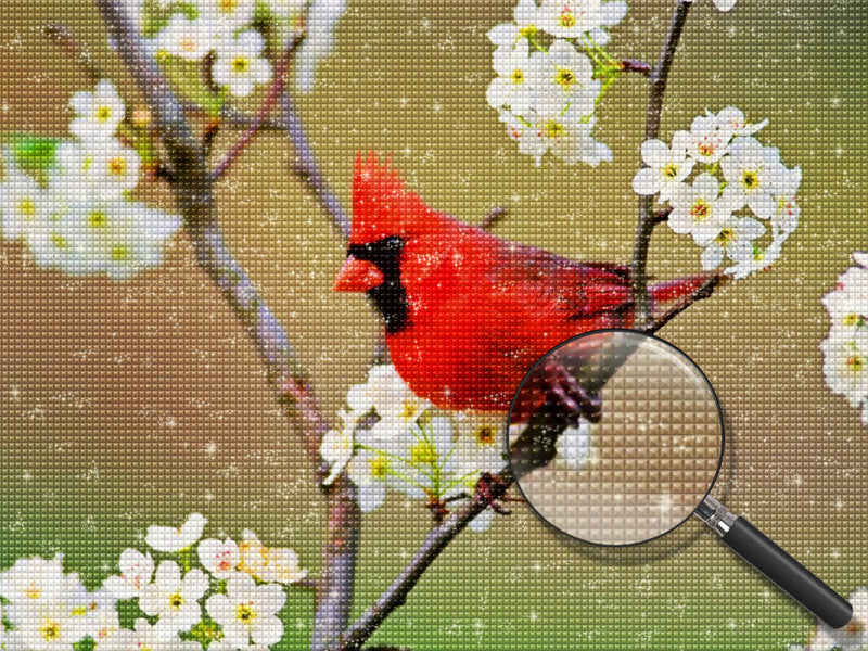 Roter Vogel auf dem Zweig Diamond Painting