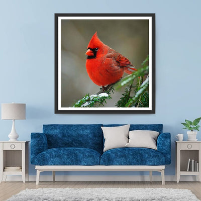 Roter Vogel Diamond Painting