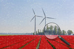 Rotes Blumenfeld und Windräder Diamond Painting