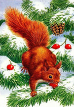 Rotes Eichhörnchen und Zeder Diamond Painting