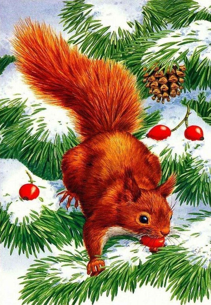 Rotes Eichhörnchen und Zeder Diamond Painting