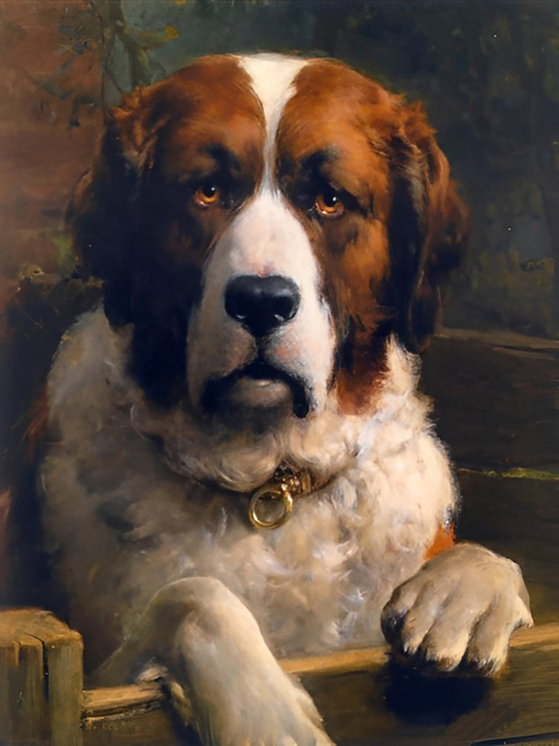 Sankt Bernhardshund Diamond Painting