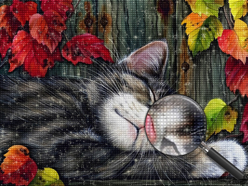 Schlafende Katze und Ahornblätter Diamond Painting