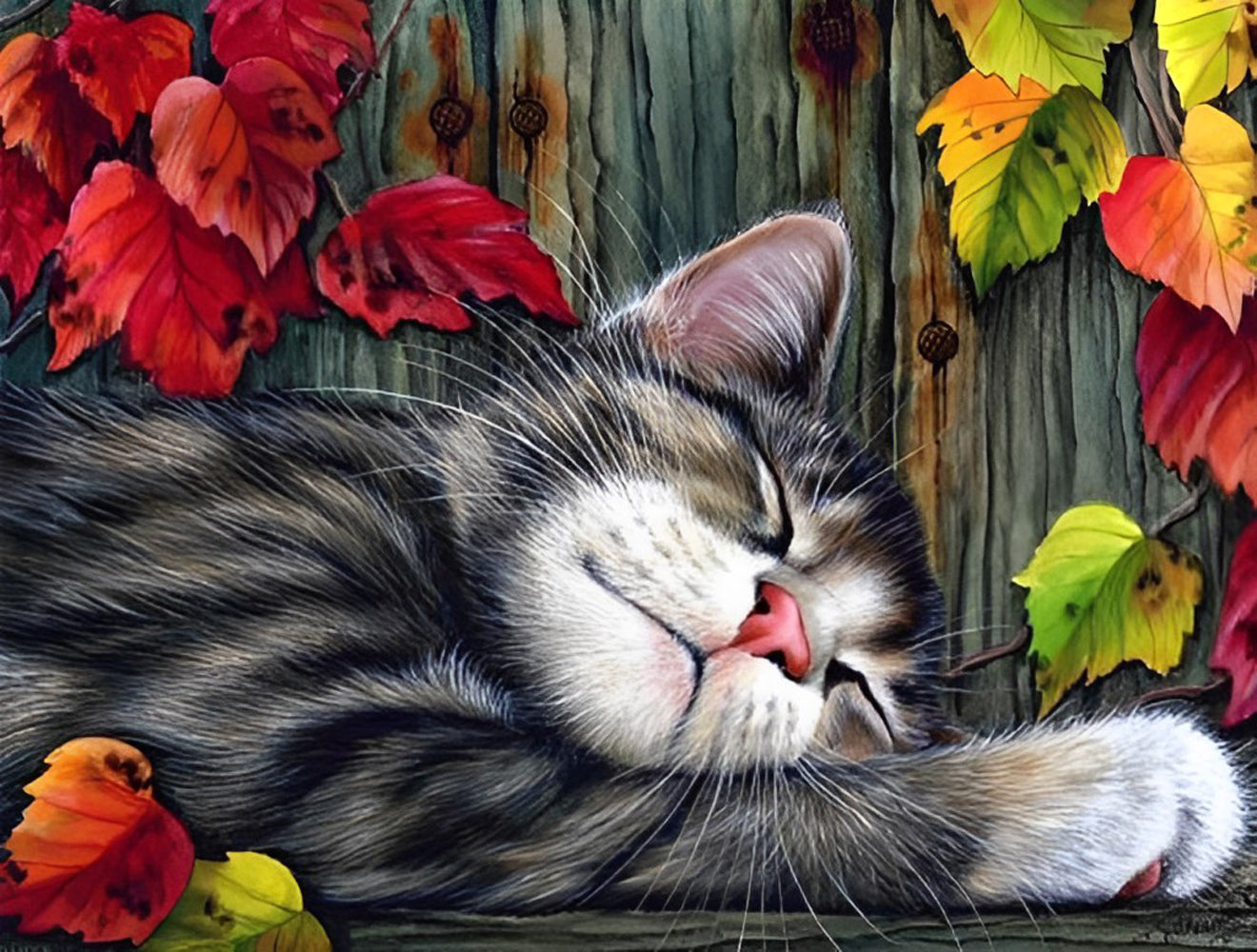 Schlafende Katze und Ahornblätter Diamond Painting