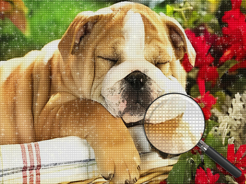 Schlafender Shar-Pei in den Blumen Diamond Painting