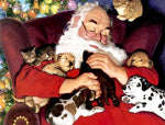 Schlafender Weihnachtsmann mit Katzen und Hunden Diamond Painting