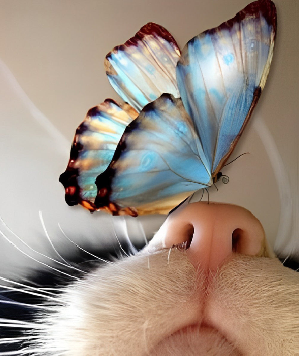 Schmetterling auf der Nase der Katze Diamond Painting