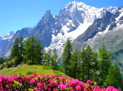 Schneeberg, grüne Bäume und Blumen Diamond Painting