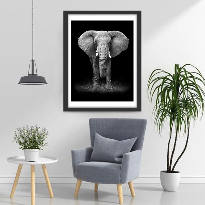 Schwarz-weißer Elefant Diamond Painting