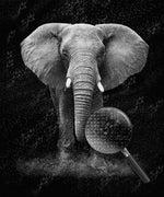 Schwarz-weißer Elefant Diamond Painting