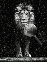 Schwarz-weißer Löwe Diamond Painting