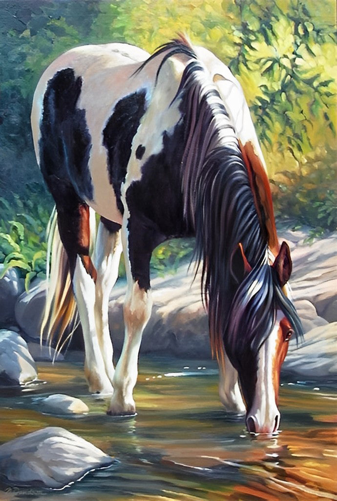 Schwarz-weißes Pferd am Wasser Diamond Painting