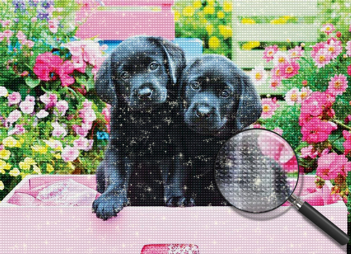 Schwarze Hunde in rosa Box Diamond Painting