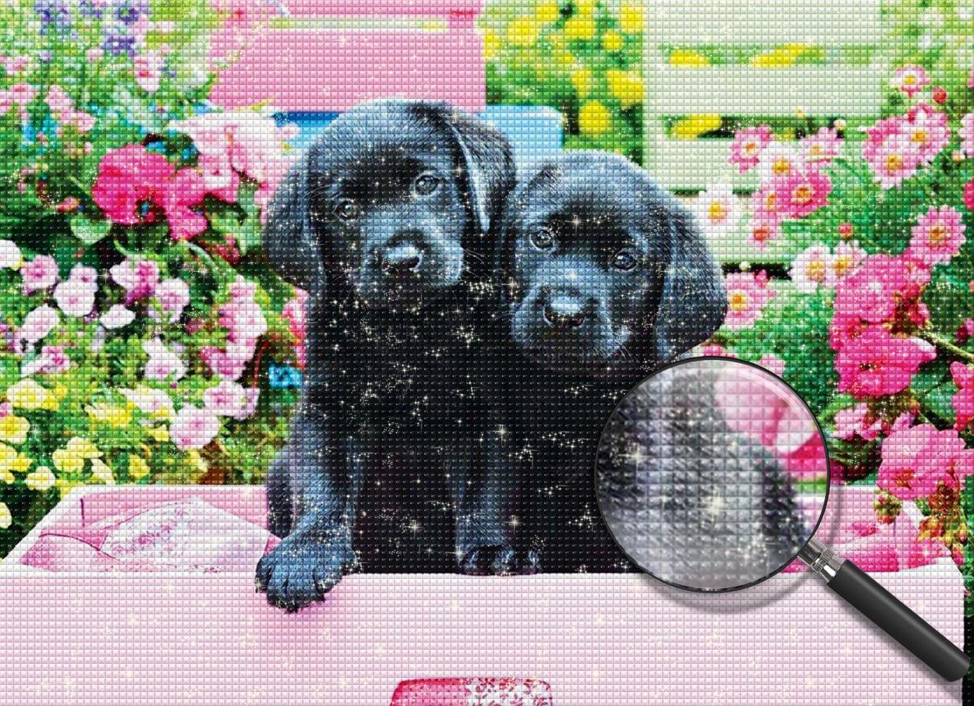 Schwarze Hunde in rosa Box Diamond Painting