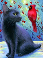 Schwarze Katze und roter Vogel Diamond Painting