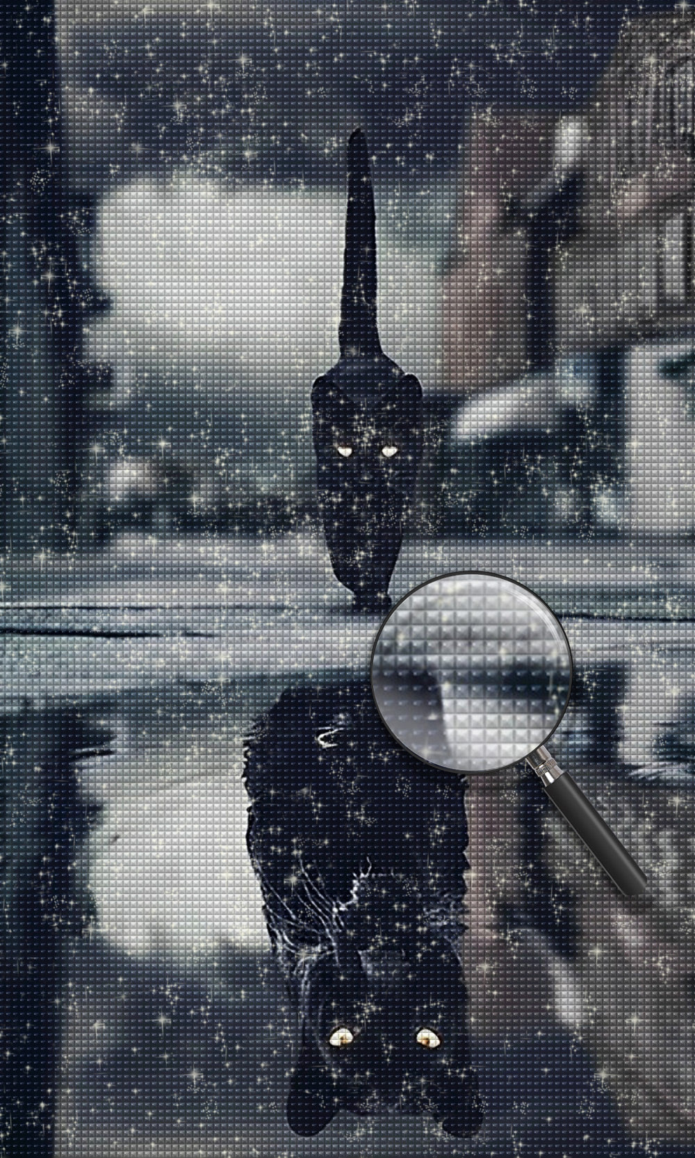 Schwarze Katze und Spiegelbild Diamond Painting