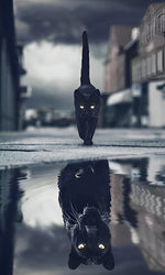 Schwarze Katze und Spiegelbild Diamond Painting