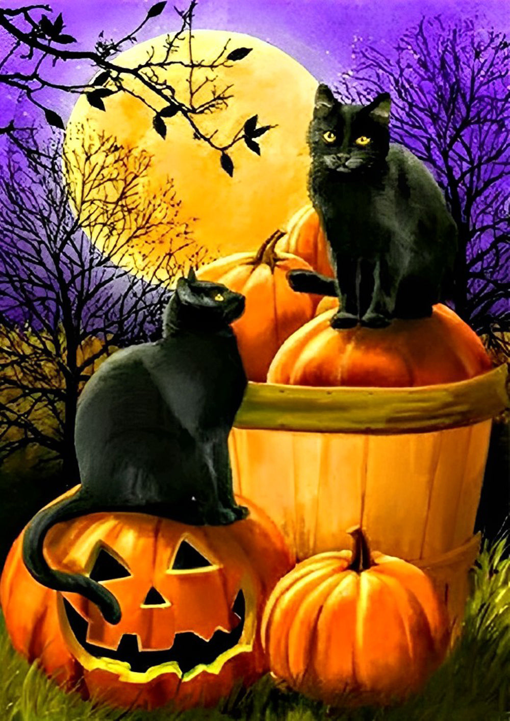Schwarzes Katzenpaar, Kürbislaternen und Vollmond Diamond Painting