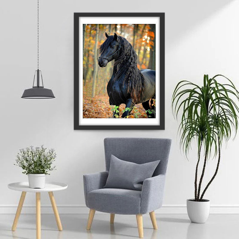 Schwarzes Pferd im Wald Diamond Painting