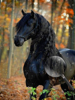 Schwarzes Pferd im Wald Diamond Painting