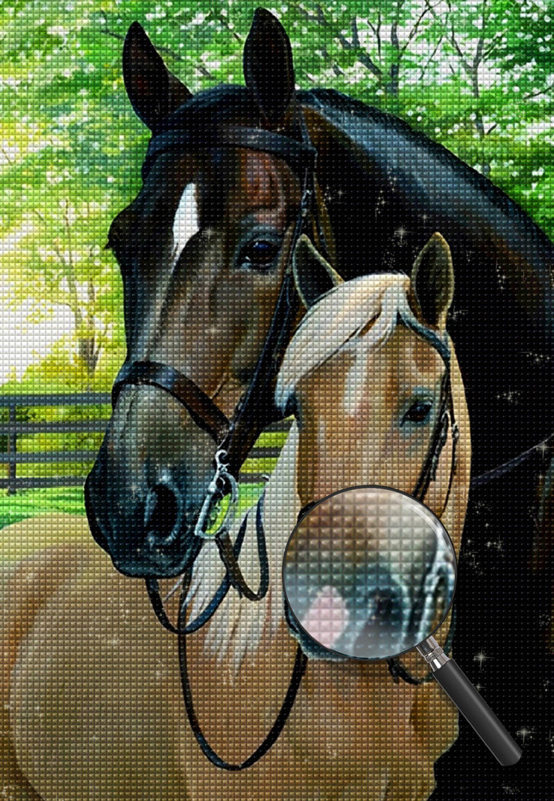 Schwarzes Pferd und Braunes Pferd Diamond Painting