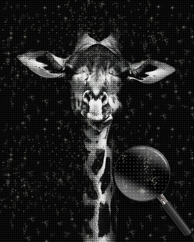 Schwarzweiße Giraffe Diamond Painting