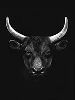 Schwarzweißes Rind Diamond Painting