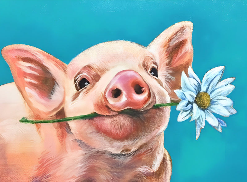 Schwein mit Gänseblümchen im Maul Diamond Painting