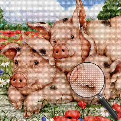 Schweine auf dem Feld Diamond Painting