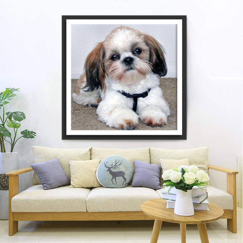 Shih-Tzu-Hund Diamond Painting