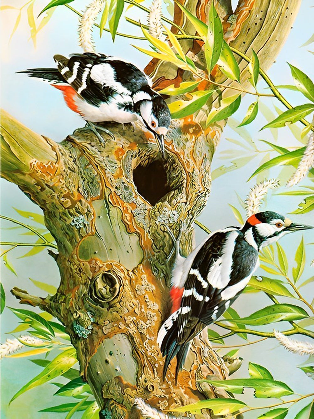 Specht auf einem Baum Diamond Painting