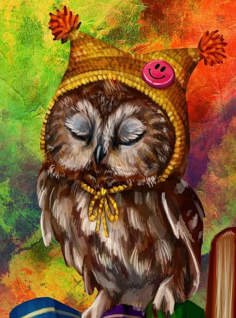 Süße Eule Diamond Painting