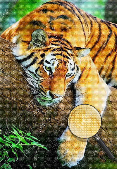 Tiger auf dem Baum Diamond Painting