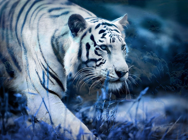 Tiger Diamond Painting