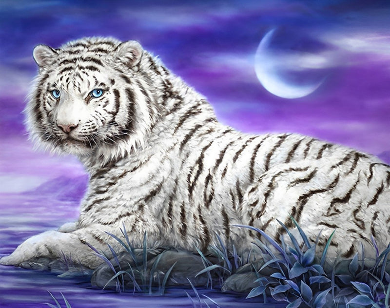 Tiger Diamond Painting